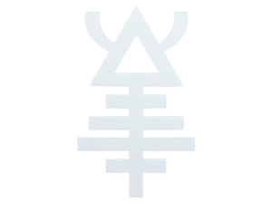 Sticker | Aeldari 2