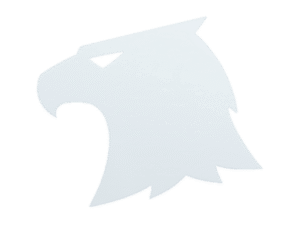 Sticker | Raptors