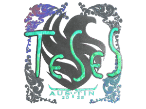 Sticker | TeSeS (Holo) | Austin 2025