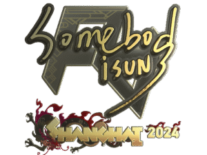 Sticker | somebody (Gold) | Shanghai 2024