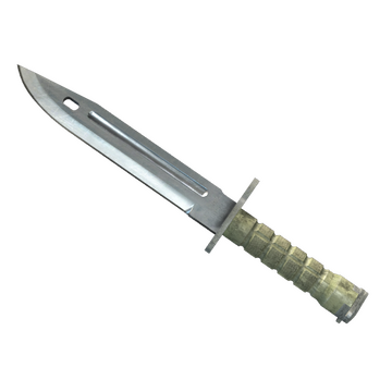 Bayonet