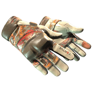 Moto Gloves