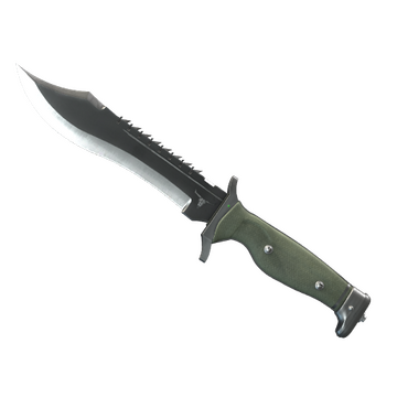 Bowie Knife